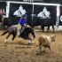 Mid-South Cutting Horse Association Show